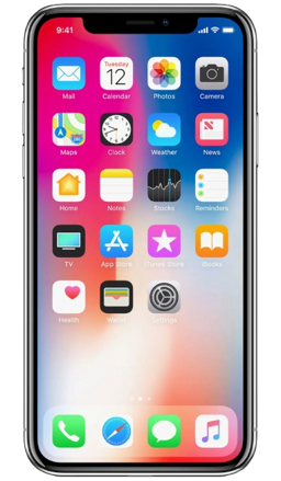 Apple iPhone X
